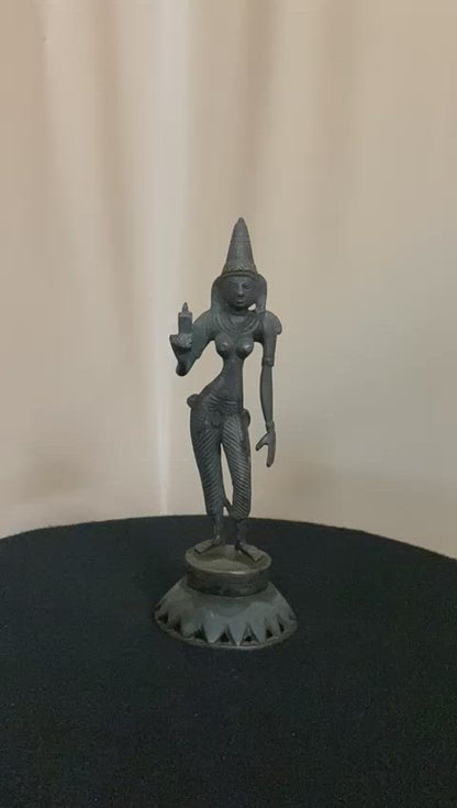 Beautiful Bronze Sculpture of Parvati devi Holding a Lotus bud